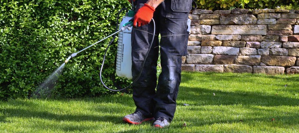 Termite Fumigation and Tenting Irvine