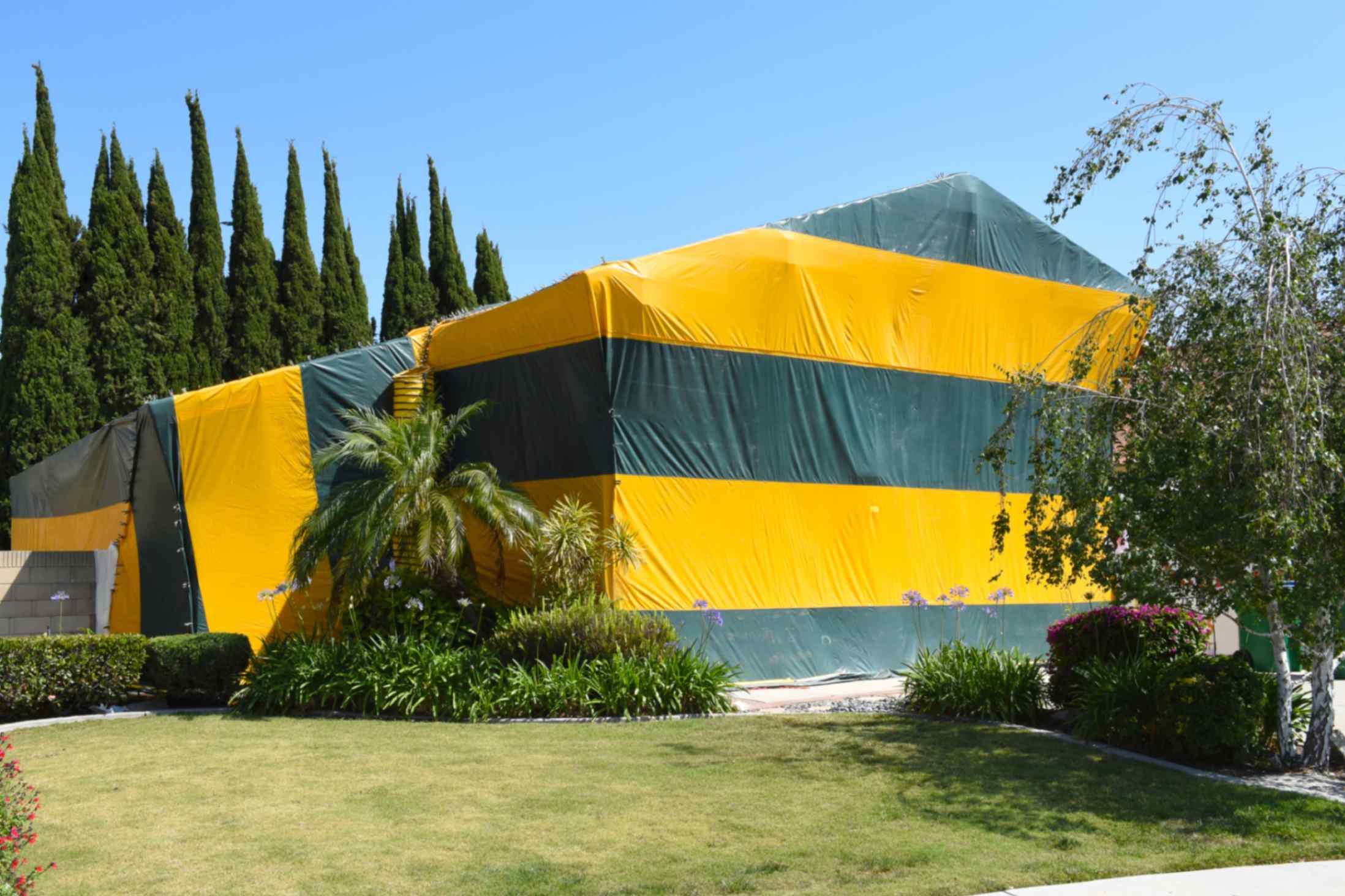 Termite fumigation and tenting in Mission Viejo CA